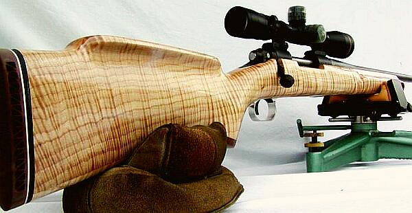 curly maple tree