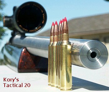 twenty caliber cartridge guide